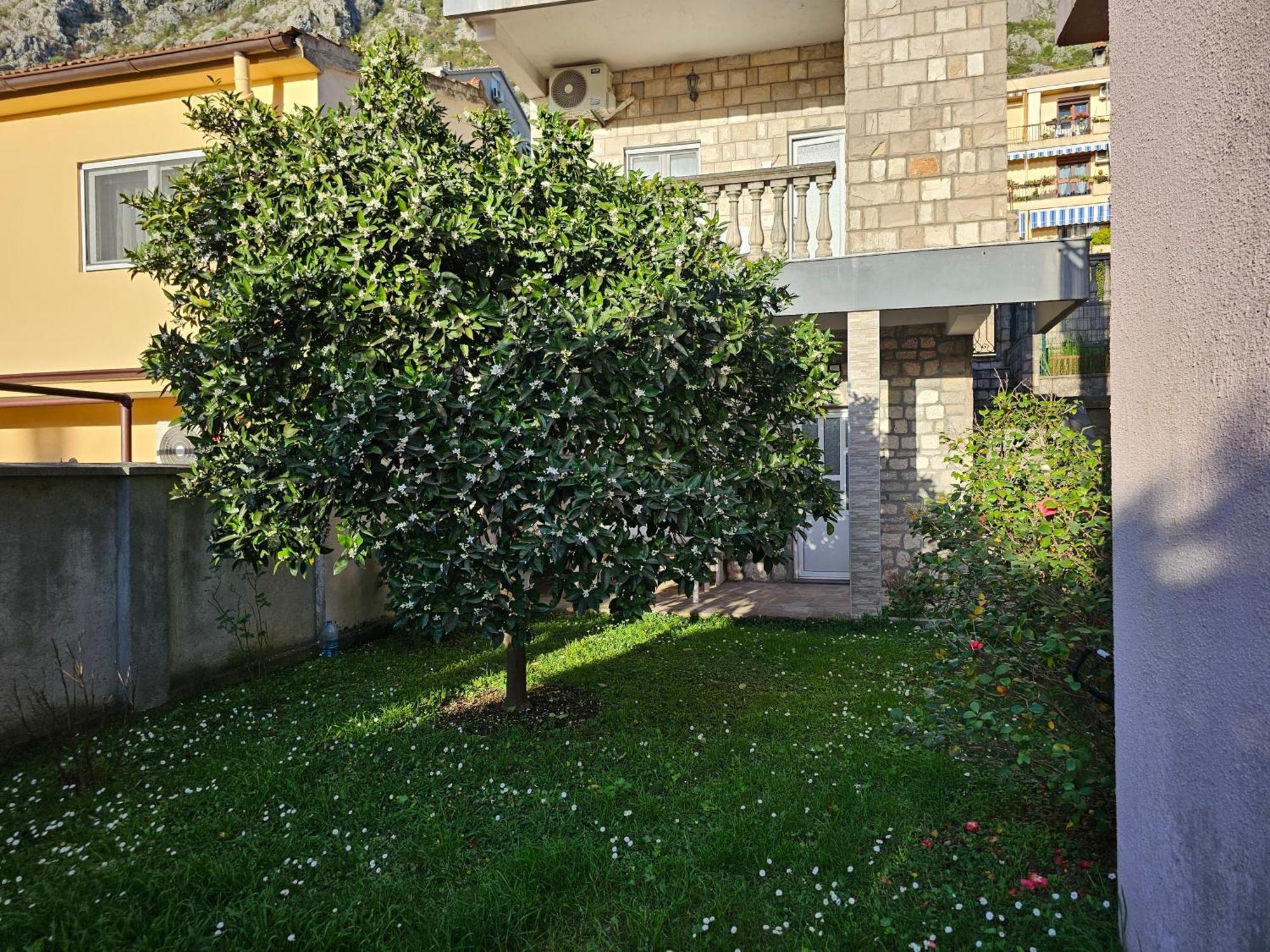 Modern Seaside Escape - Stunning Sea View - Private & Stylish Apartman Kotor Kültér fotó